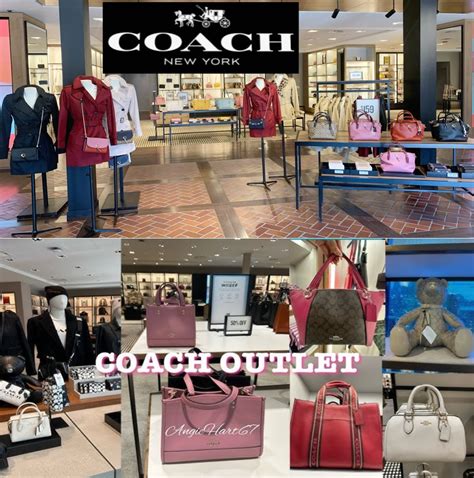 coach outlet vs coach store.